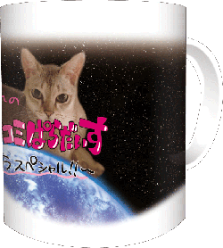 上坂すみれ｜オシラセ