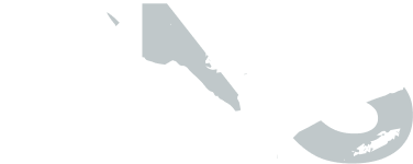 SNS