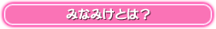 みなみけとは？